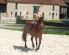  centre equestre de melville a st martin les langres (centre équestre)