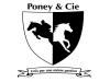 poney et cie a flaxlanden (centre équestre)