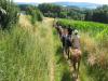 ferme equestre la chenaie a givonne (centre équestre)