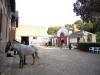 centre equestre grenadière a saint-cyr-sur-loire (centre équestre)