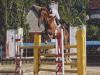 centre equestre la croix diamant a velles (centre équestre)